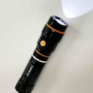 Torch/LED Lantern