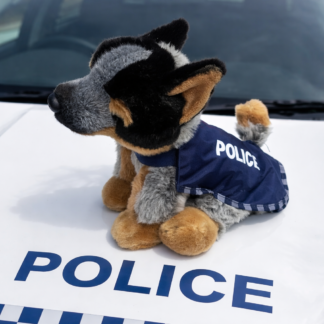Blue Heeler Police Dog Puppy