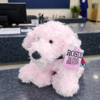 Rosie The Police Dog Puppy
